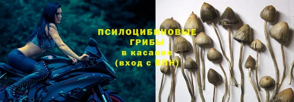 героин Абаза