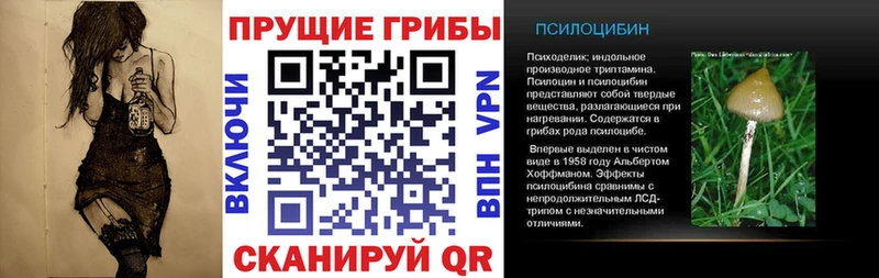 Псилоцибиновые грибы Magic Shrooms Лодейное Поле